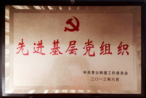 ​先进基层党组织